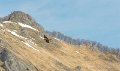 lescun-03-2013_5386