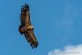 lescun-03-2013_5443