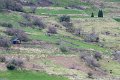 lescun-04-2016_1089