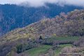 lescun-04-2016_1098