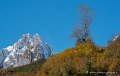 lescun-d752_5585