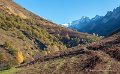 osse-autour_7096
