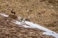pourtalet-01-2016_5210