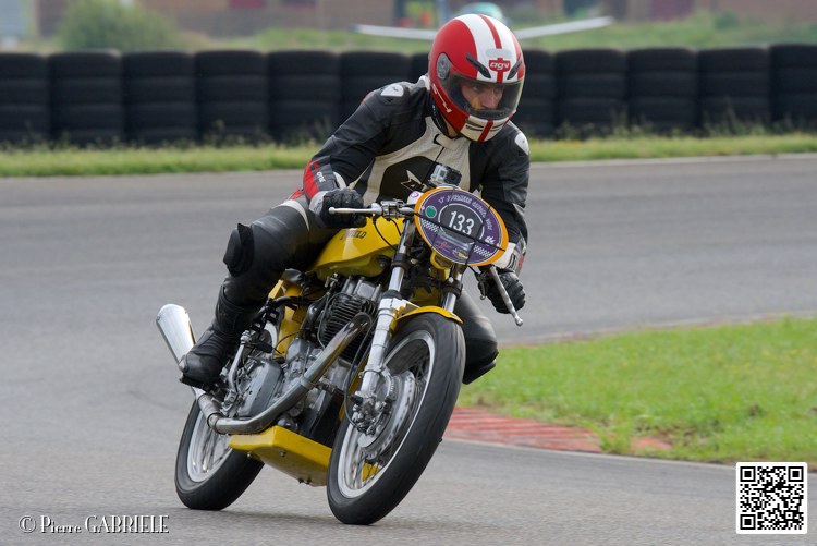 coyotes-2014-solo_5011.jpg