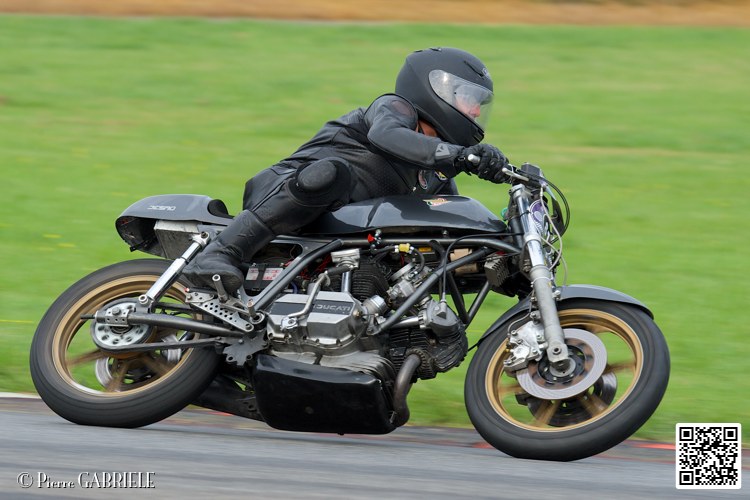 coyotes-2014-solo_5040.jpg