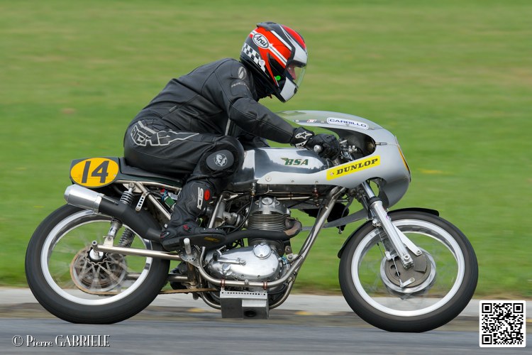 coyotes-2014-solo_5046.jpg