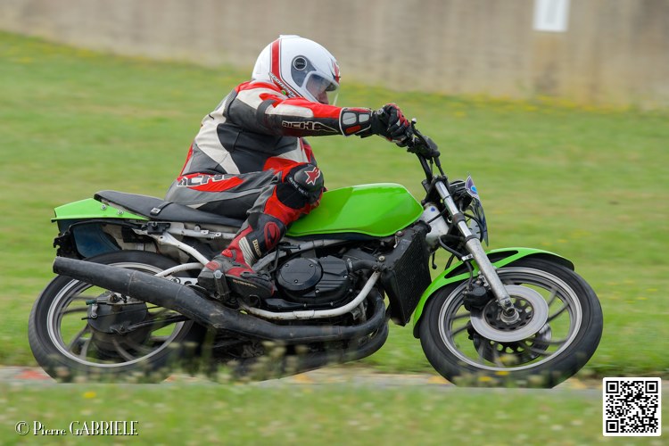 coyotes-2014-solo_5099.jpg