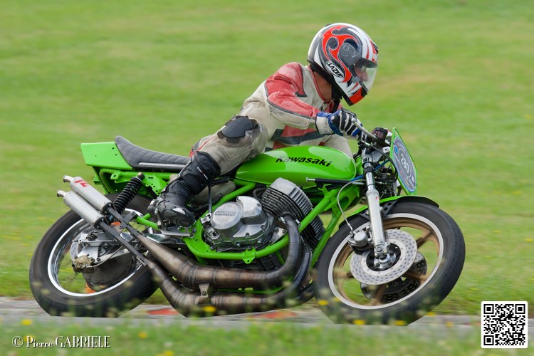 coyotes-2014-solo_5100.jpg