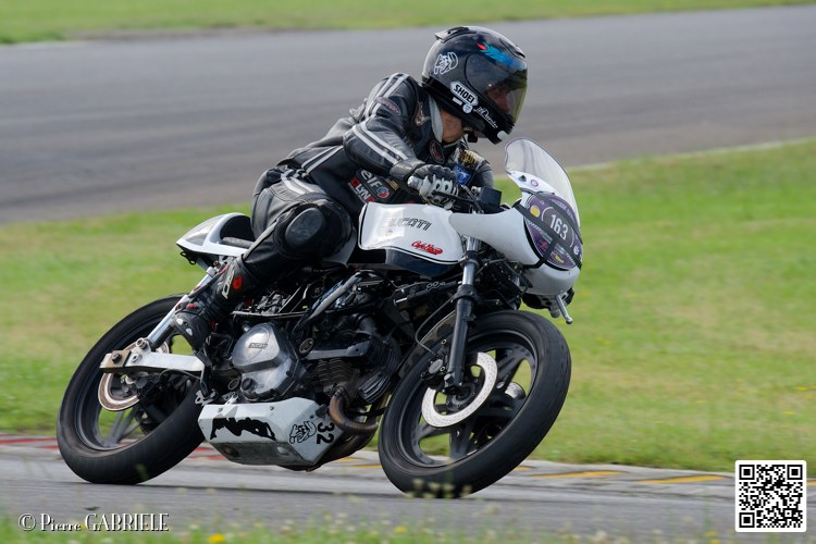 coyotes-2014-solo_5151.jpg