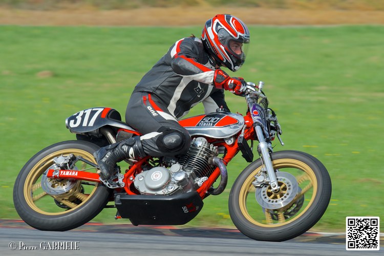 coyotes-2014-solo_5240.jpg