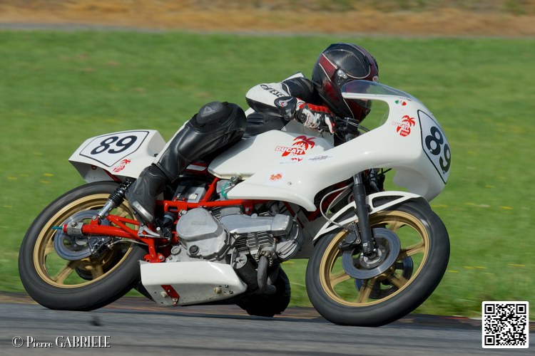 coyotes-2014-solo_5258.jpg