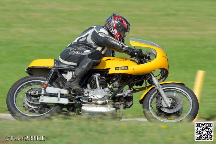 coyotes-2014-solo_5272.jpg