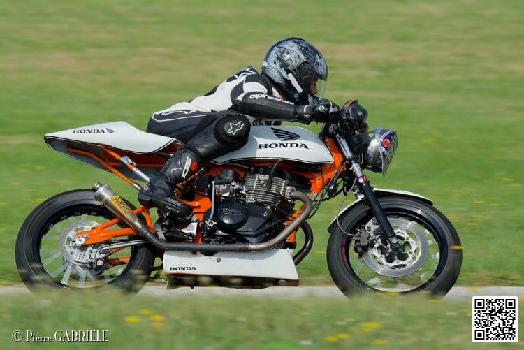 coyotes-2014-solo_5276.jpg