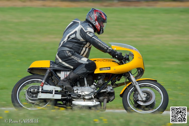 coyotes-2014-solo_5292.jpg