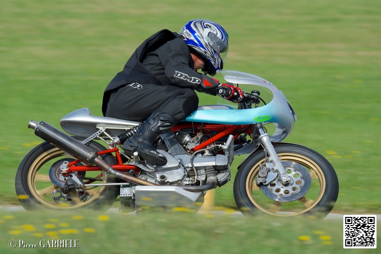 coyotes-2014-solo_5294.jpg