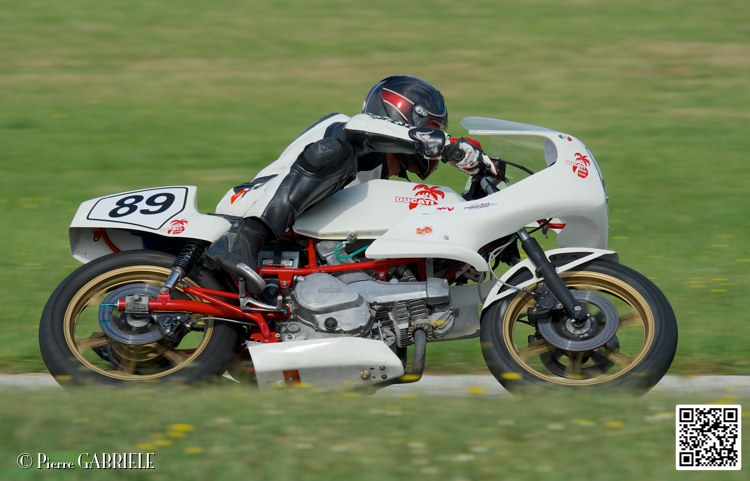 coyotes-2014-solo_5296.jpg