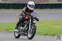 coyotes-2014-solo_5017