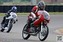 coyotes-2014-solo_5019