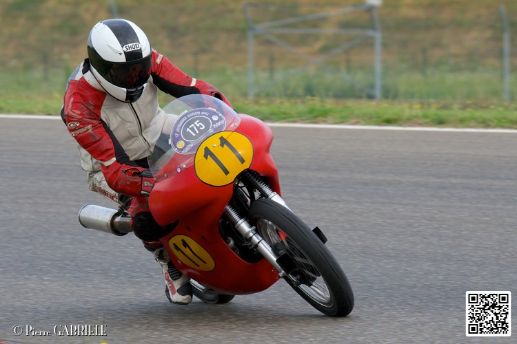 coyotes-2014-solo_4379.jpg