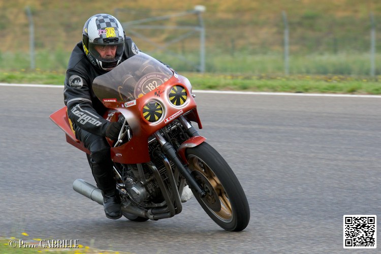 coyotes-2014-solo_4381.jpg