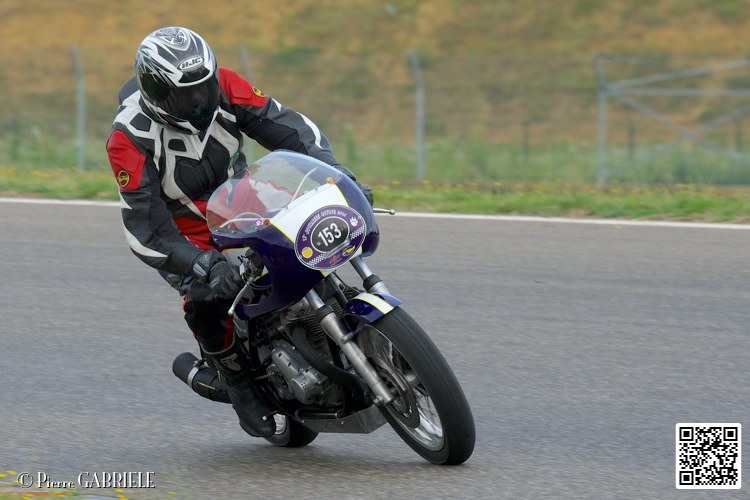 coyotes-2014-solo_4399.jpg