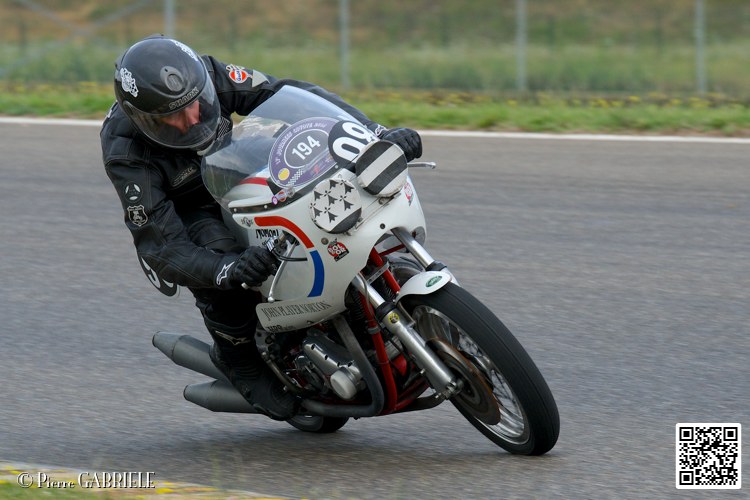 coyotes-2014-solo_4402.jpg