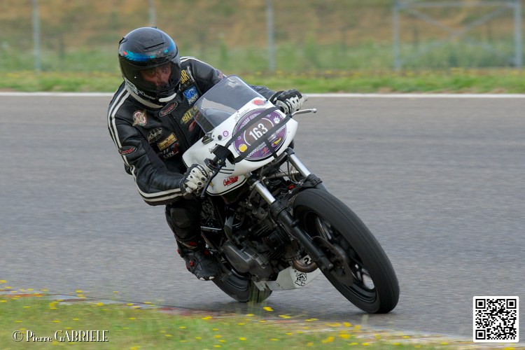 coyotes-2014-solo_4403.jpg