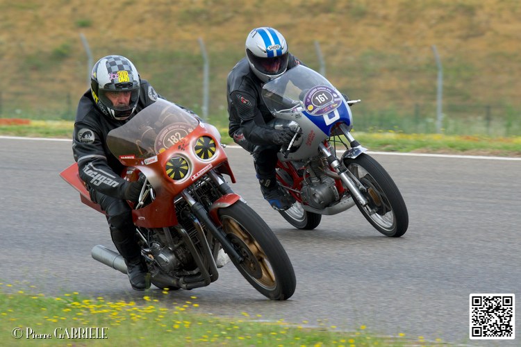 coyotes-2014-solo_4406.jpg