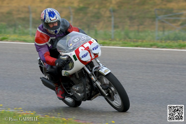 coyotes-2014-solo_4408.jpg