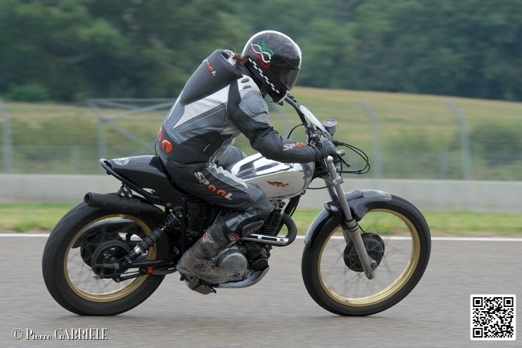 coyotes-2014-solo_4539.jpg