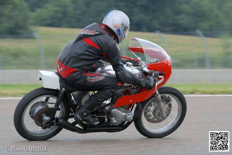 coyotes-2014-solo_4540.jpg