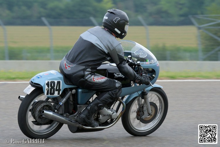 coyotes-2014-solo_4541.jpg