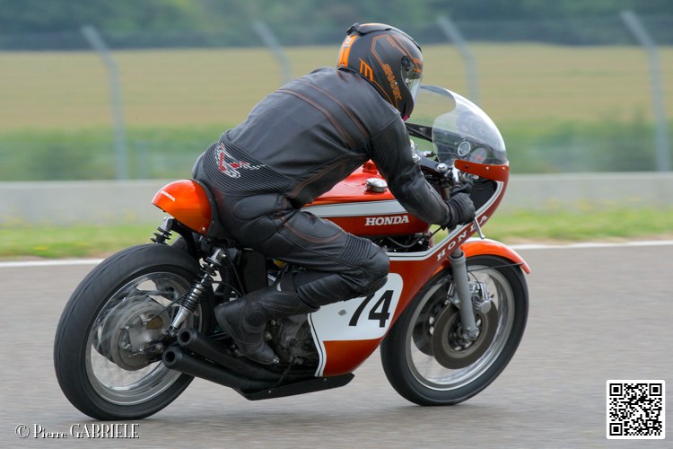 coyotes-2014-solo_4552.jpg