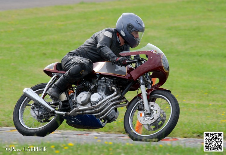 coyotes-2014-solo_4640.jpg