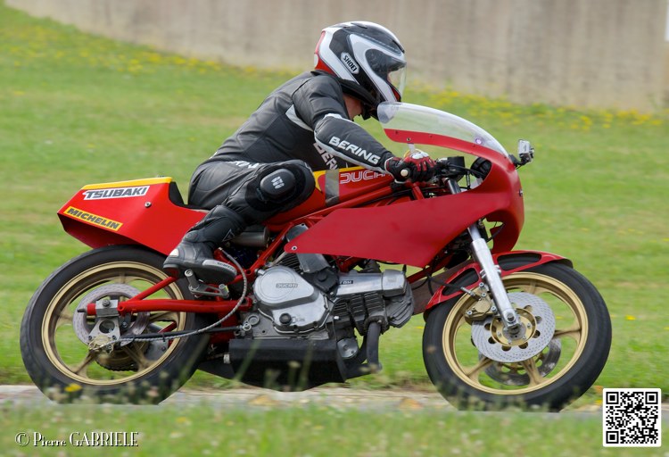 coyotes-2014-solo_4645.jpg
