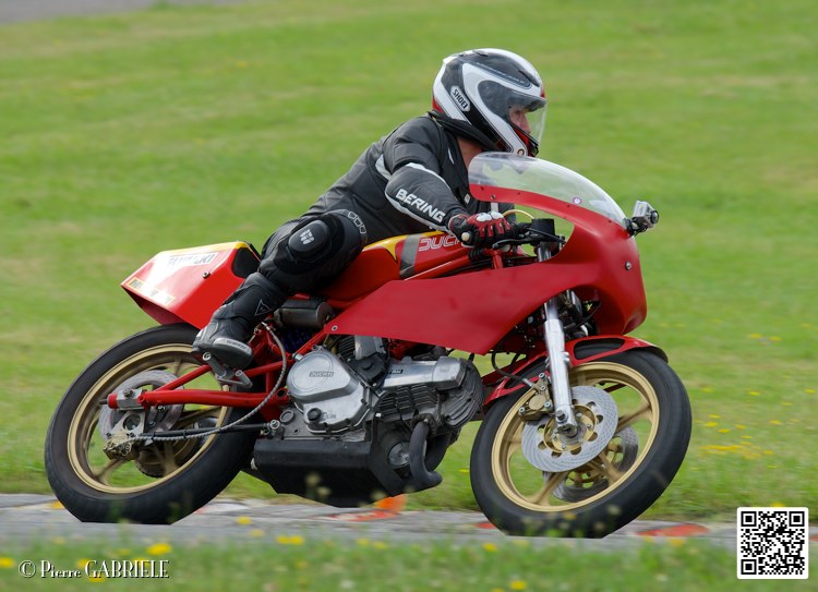 coyotes-2014-solo_4668.jpg