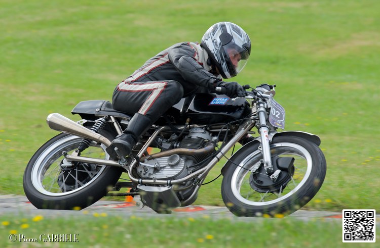 coyotes-2014-solo_4678.jpg