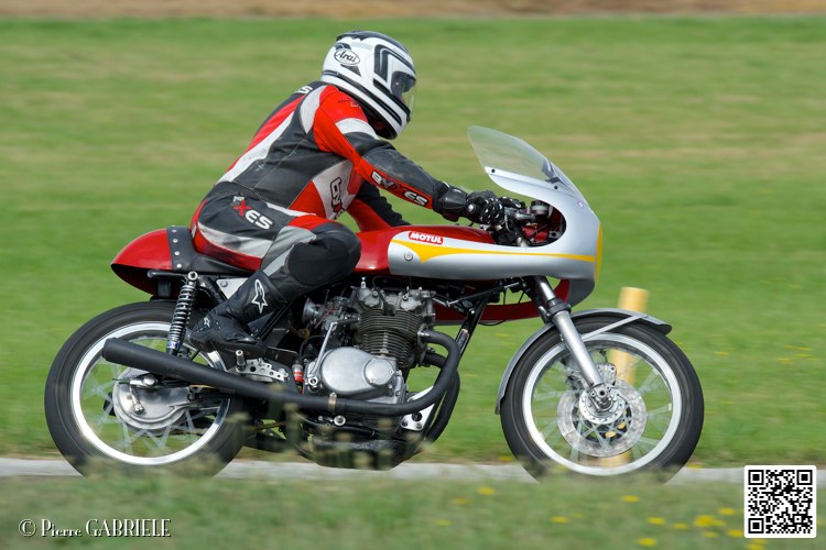 coyotes-2014-solo_4717.jpg