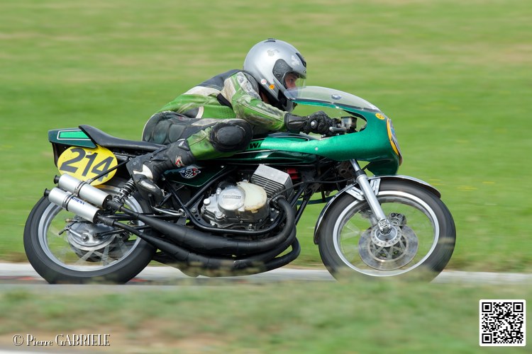 coyotes-2014-solo_4725.jpg