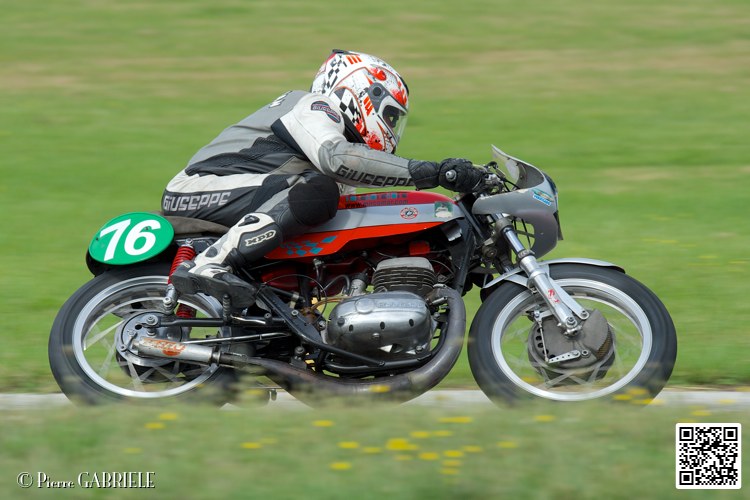 coyotes-2014-solo_4726.jpg