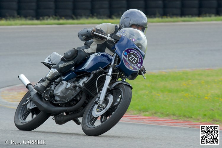 coyotes-2014-solo_4735.jpg