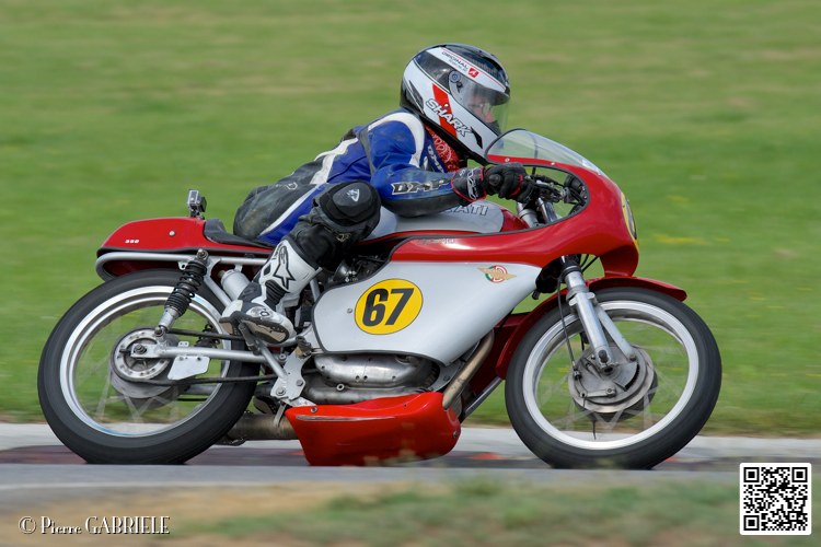 coyotes-2014-solo_4759.jpg