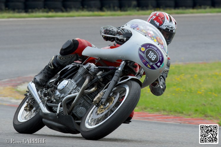 coyotes-2014-solo_4797.jpg