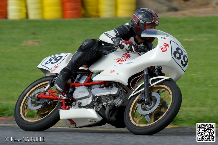 coyotes-2014-solo_4824.jpg