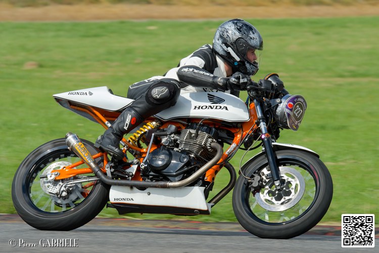 coyotes-2014-solo_4840.jpg