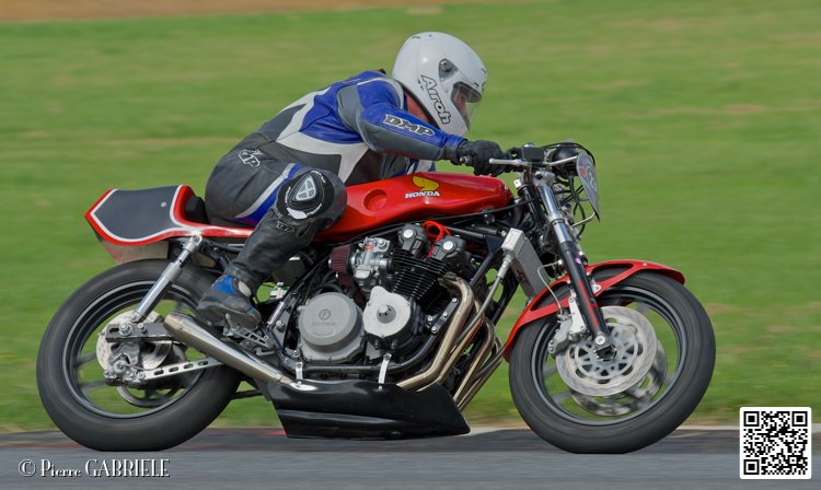 coyotes-2014-solo_4892.jpg