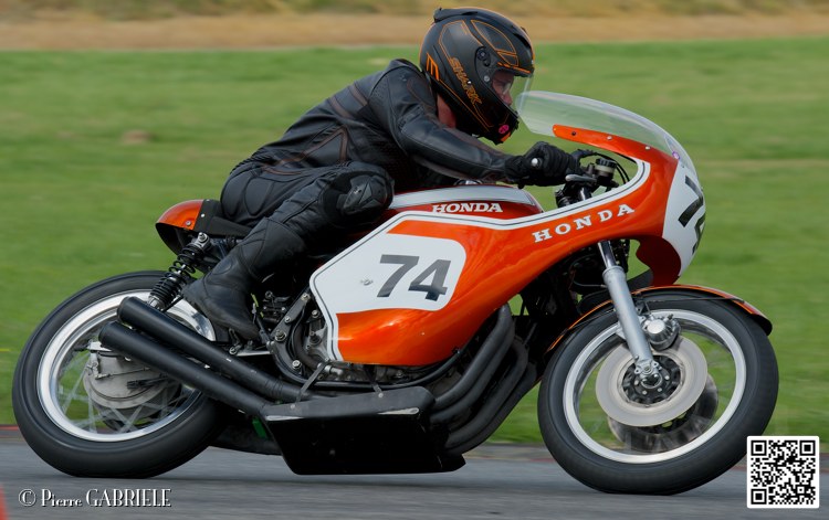 coyotes-2014-solo_4895.jpg