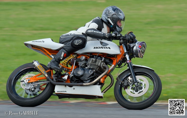 coyotes-2014-solo_4900.jpg