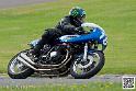 coyotes-2014-solo_4648