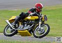coyotes-2014-solo_4649